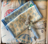 Baby Muslin Blanket Gift Box Planes